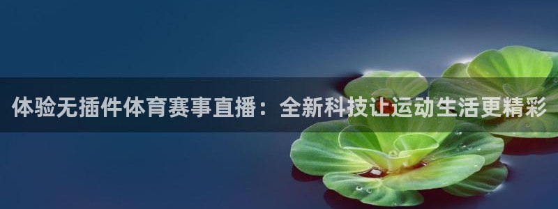 体验无插件体育赛事直播：全新科技让运动生活更精彩