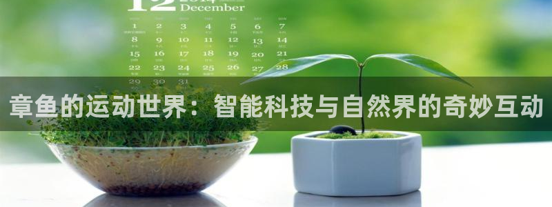章鱼的运动世界：智能科技与自然界的奇妙互动
