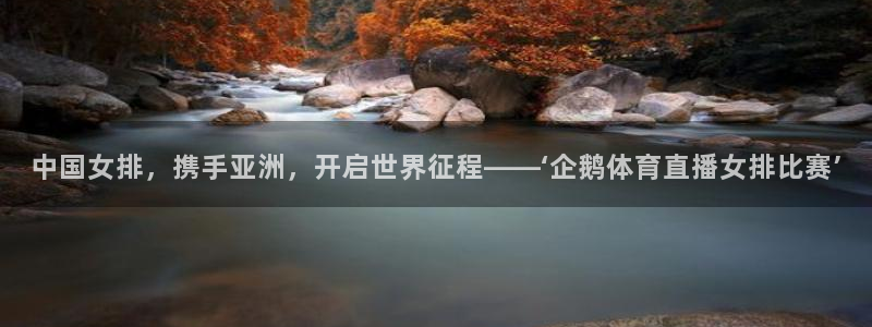 中国女排，携手亚洲，开启世界征程——‘企鹅体育直播女排比赛’